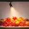 Минифото #2 товара Светильник LGD-GERA-4TR-R90-30W Warm SP3000-Fruit (Белый, 24 deg, 230V) (Arlight, IP20 Металл, 5 лет)
