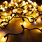 Минифото #1 товара Светодиодная гирлянда ARD-STRING-CLASSIC-10000-BLACK-100LED-MILK-FLASH Warm (230V, 7W) (Ardecoled, IP65)