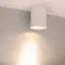 Минифото #3 товара Светильник SP-FOCUS-R132-24W Warm3000 (WH, 15 deg, 230V) (Arlight, IP54 Металл, 5 лет)